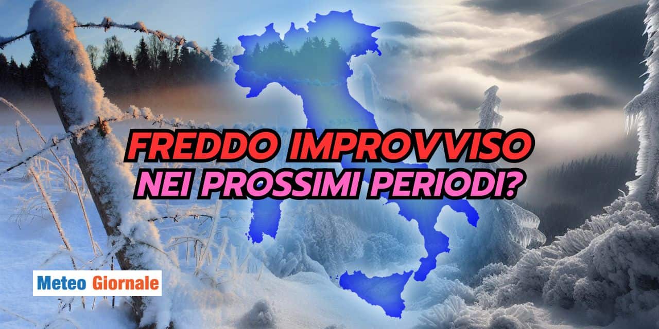 freddo 2301