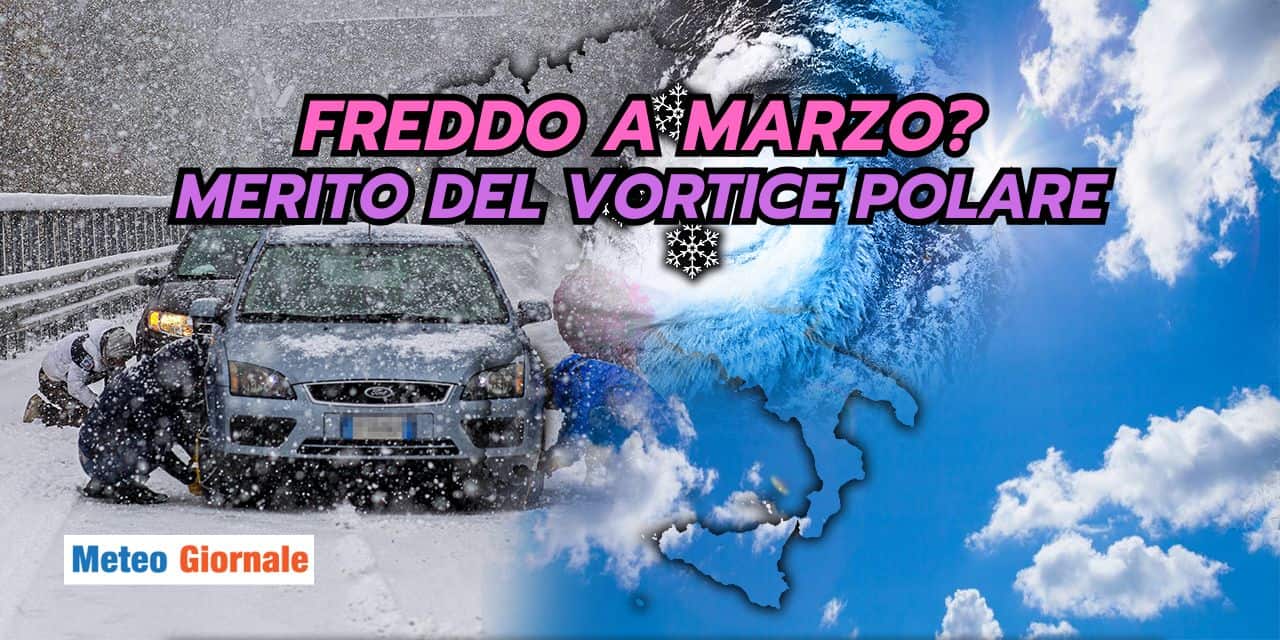 freddo 2901