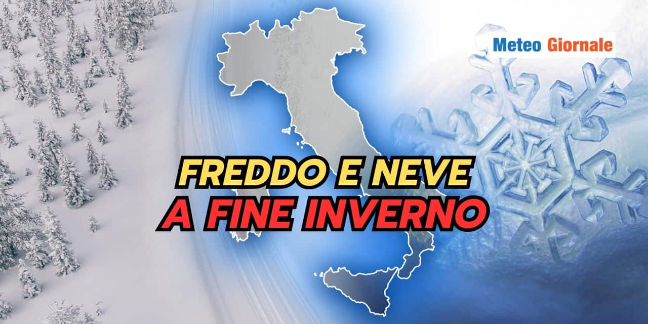 freddoeneve 2301
