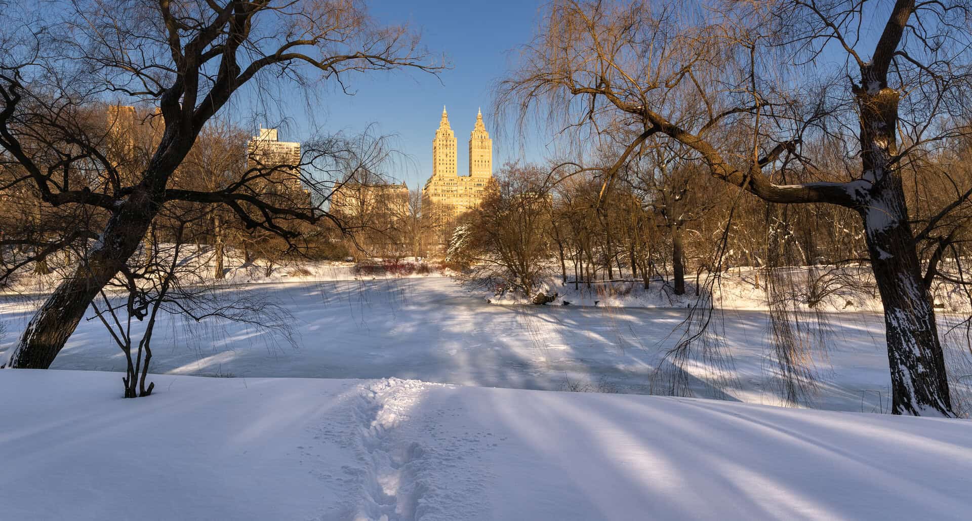 frost new york