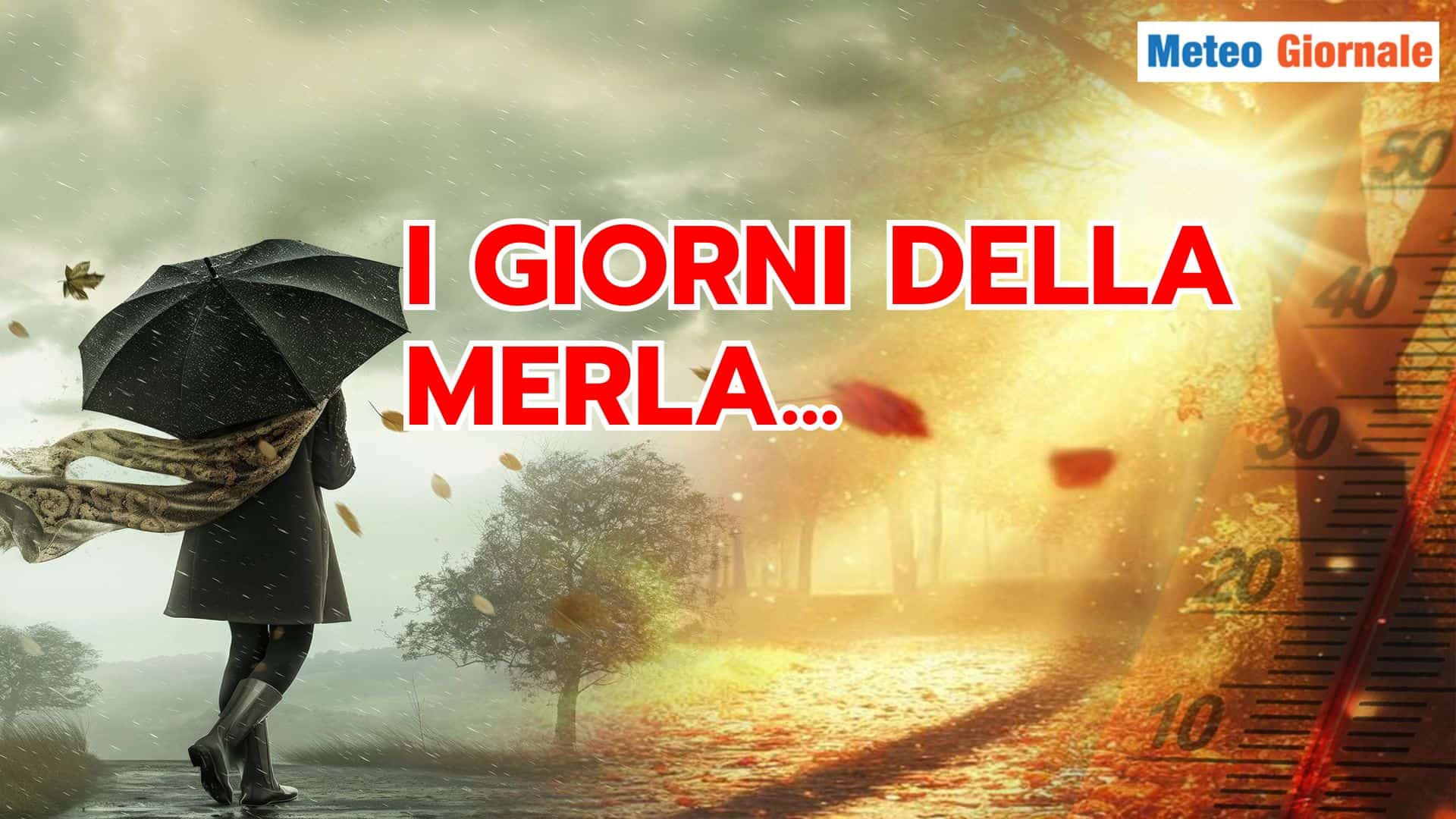 giorni merla 28 bneft