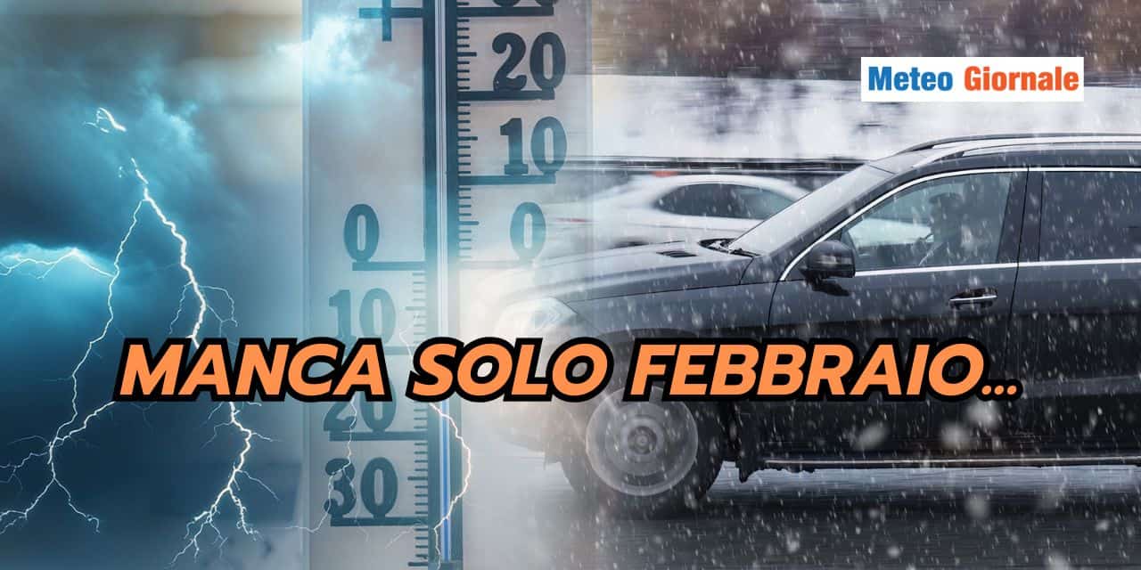 manca 2501