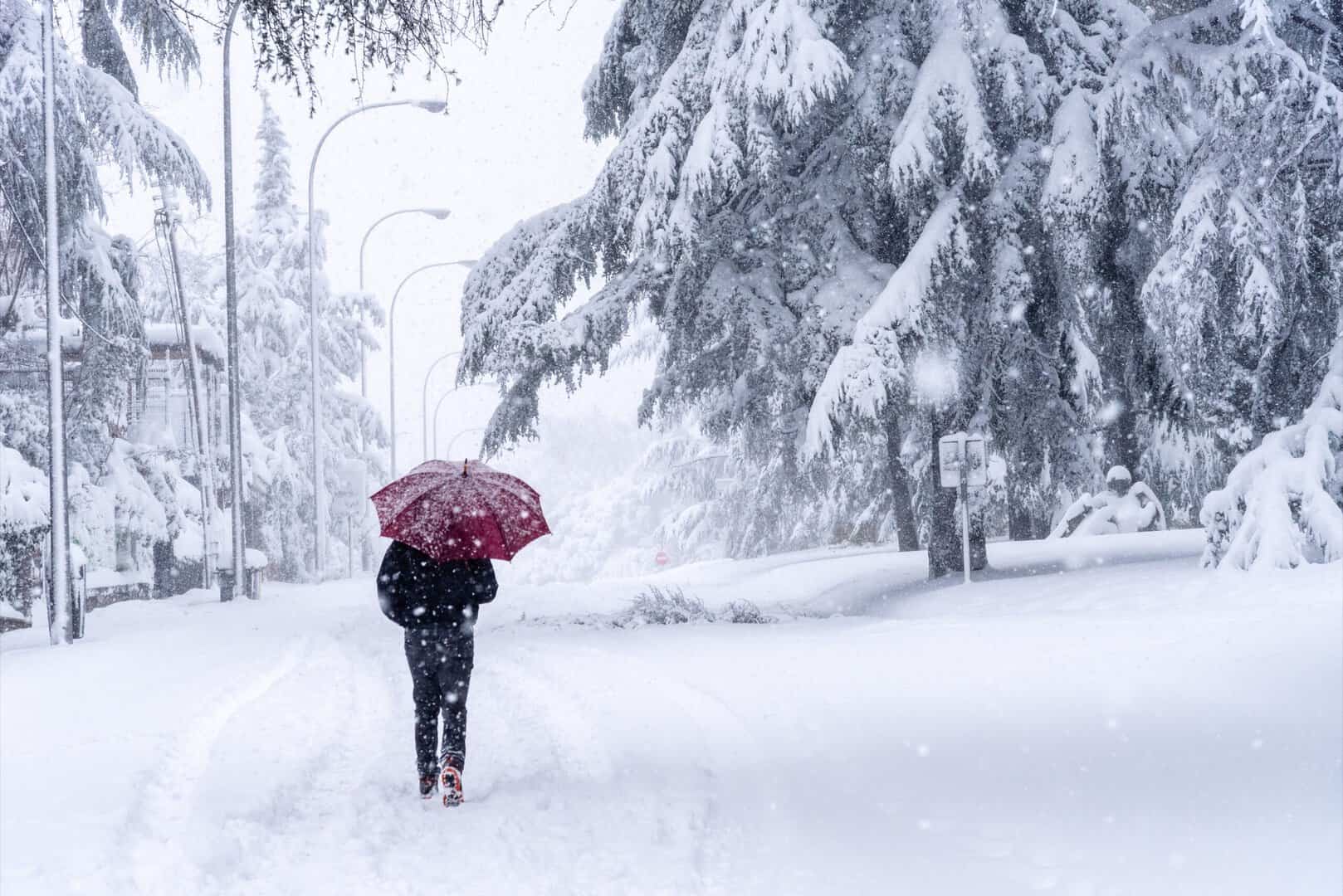Meteo, la NEVE farinosa tanto attesa. L’odio per la NEVE bagnata