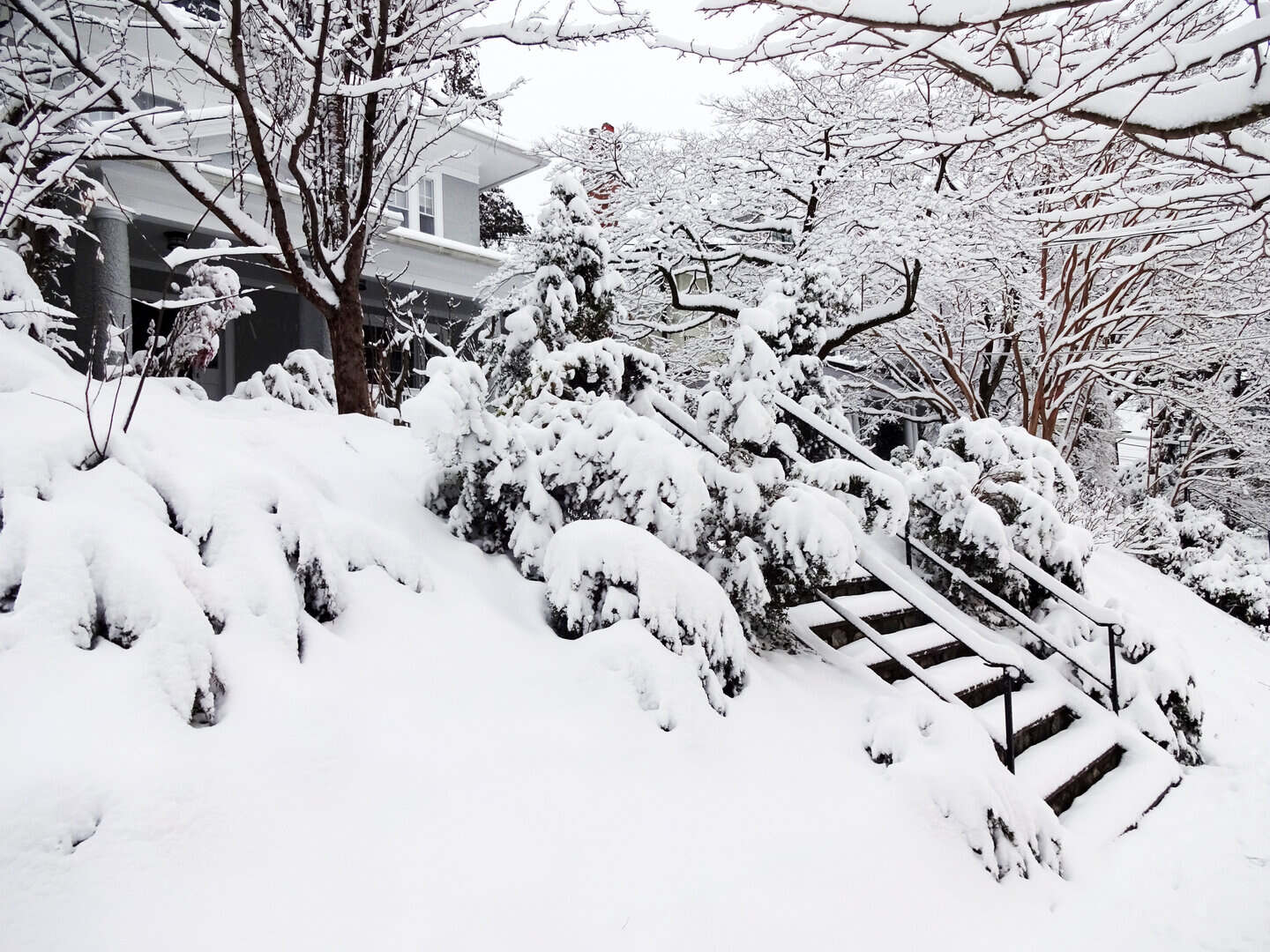 Meteo estremo a Washington D.C.: la capitale USA paralizzata dalla peggior tempesta di neve da anni