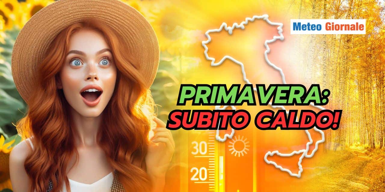 primavera 2601
