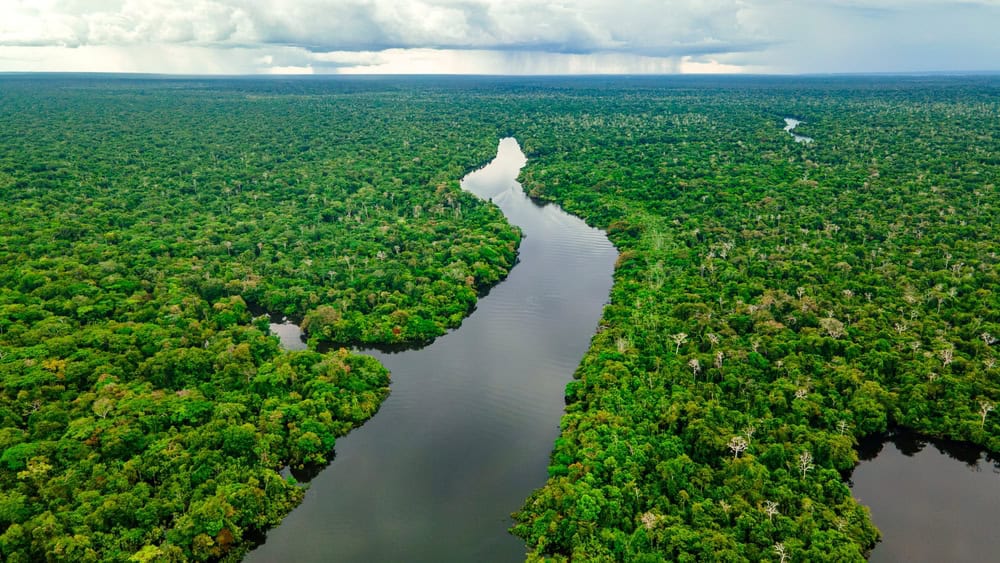 Notizie terribili dall’Amazzonia