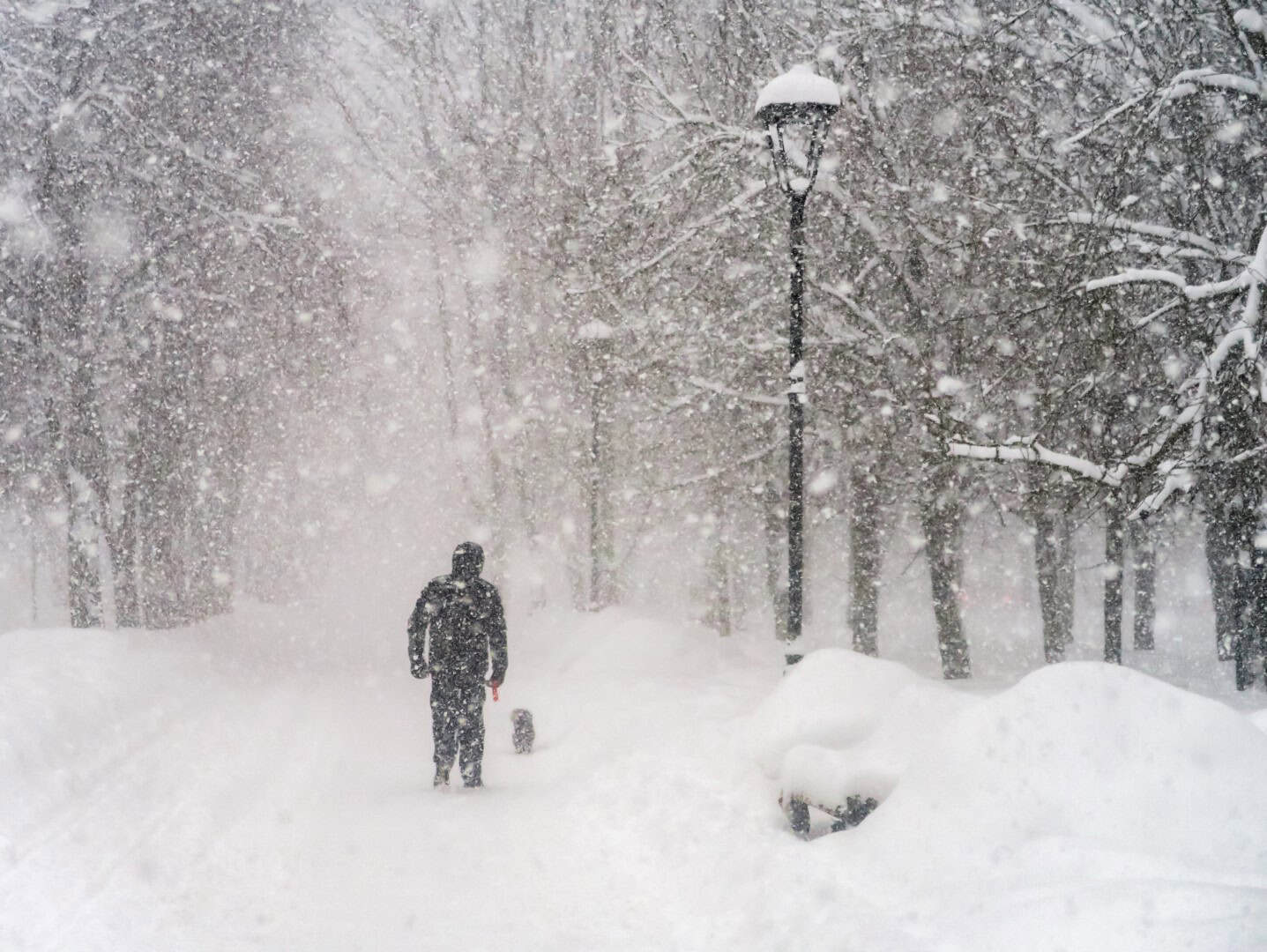 Meteo: il Vortice Polare avvia una tempesta di neve in Europa,  blackout e caos nei trasporti