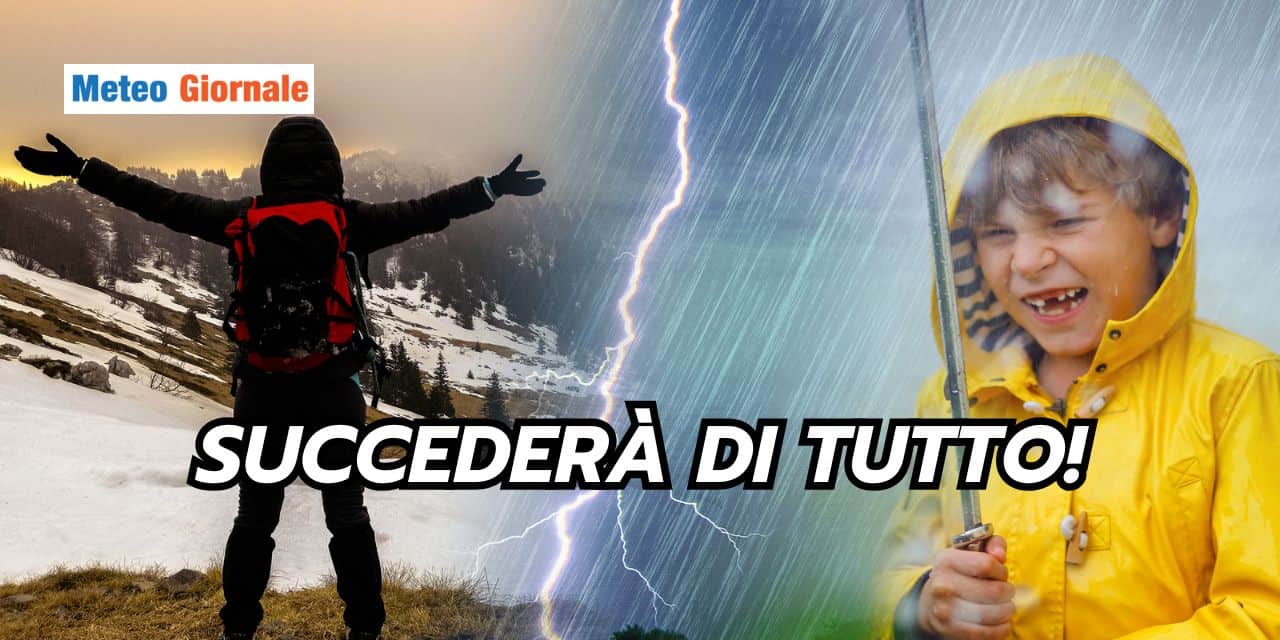 succedera 2001