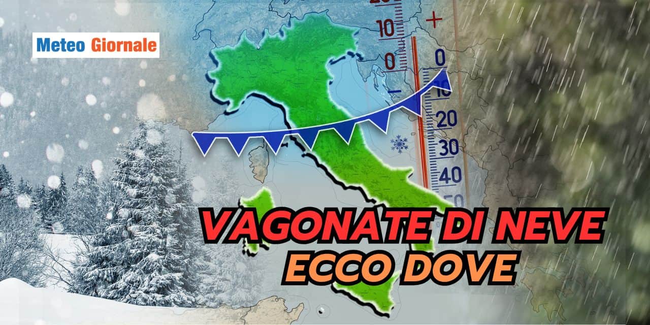 vagonate 2301
