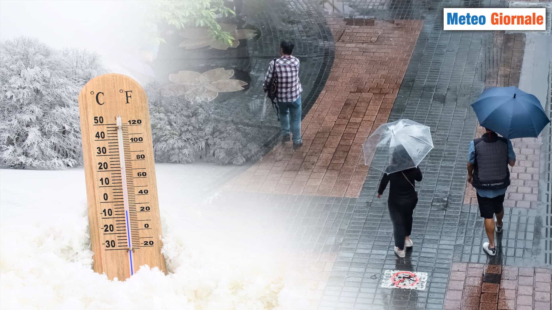 050225 A