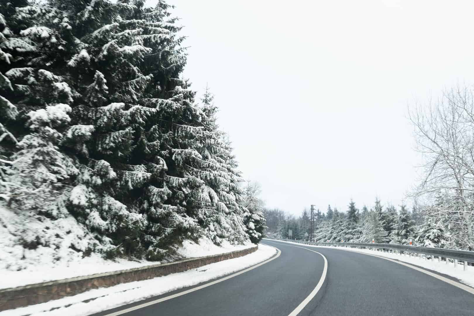 Bulgaria frost 23022025 3