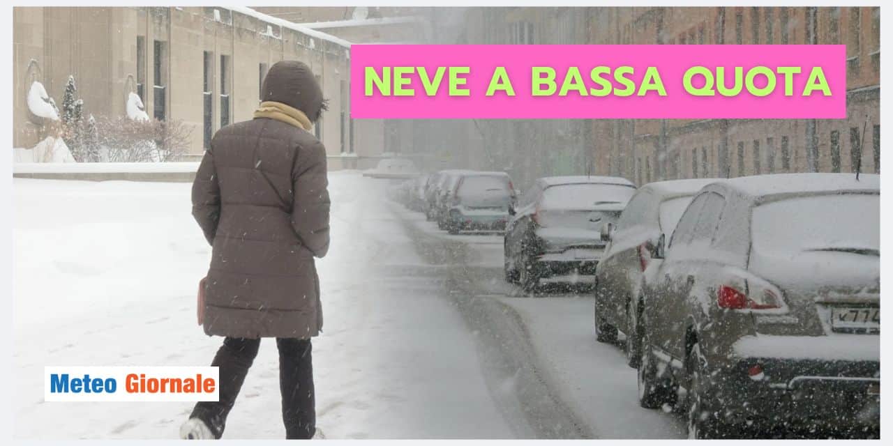 Copia di BOMBE DI GRANDINE 2025 02 01T193448.839