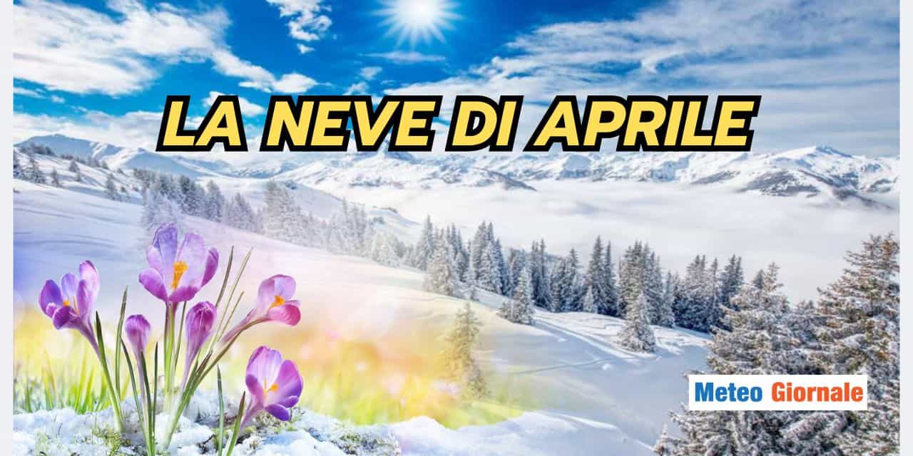Copia di BOMBE DI GRANDINE 2025 02 23T125338.034