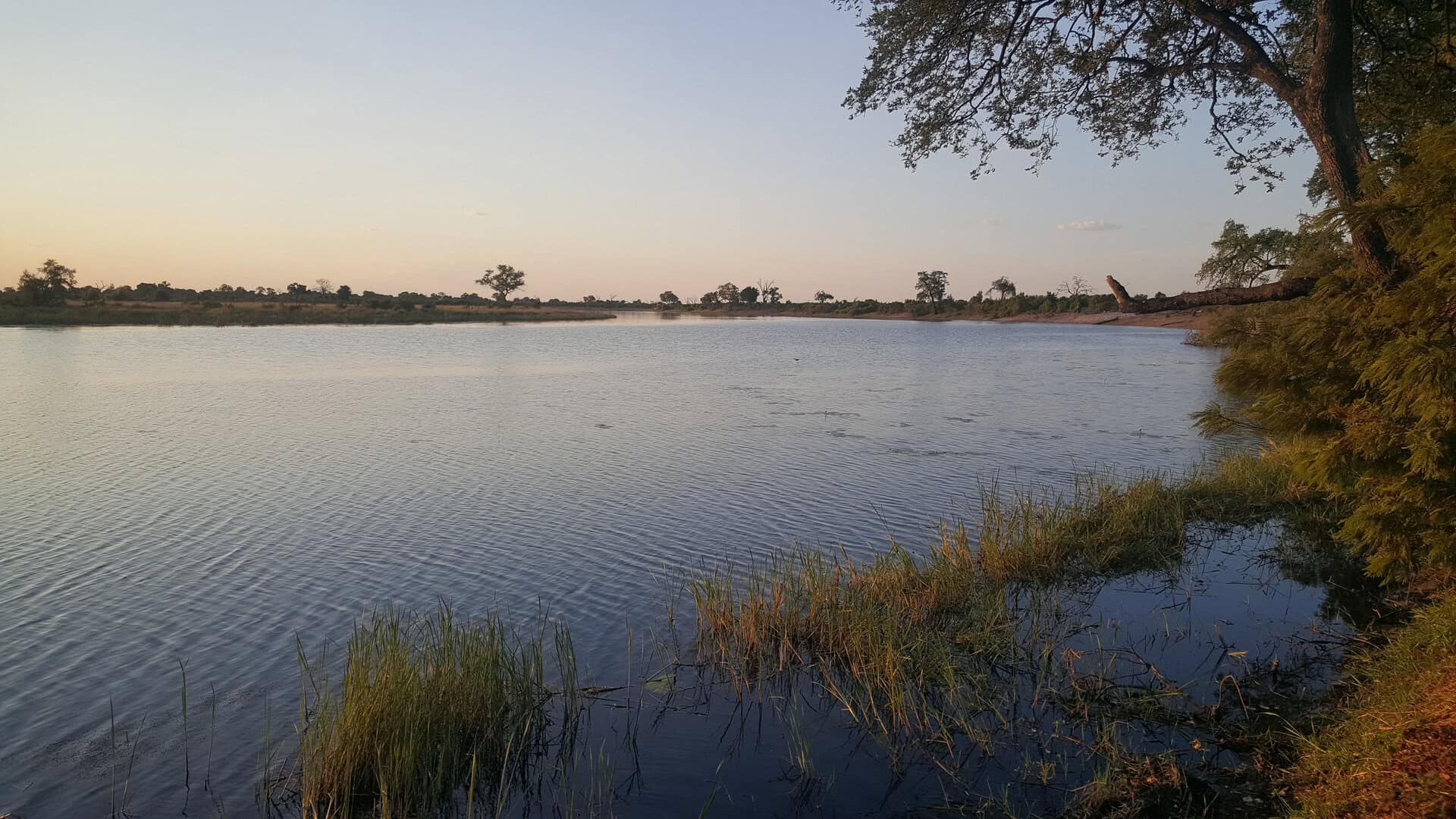 Viaggio sul fiume Cuando. Esplorazione tra Zambia e Angola nel cuore tropicale