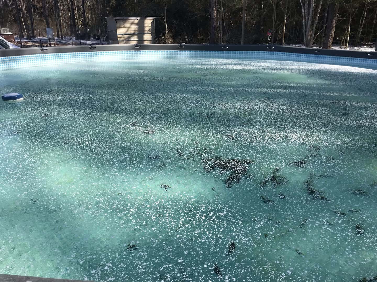 Frozen