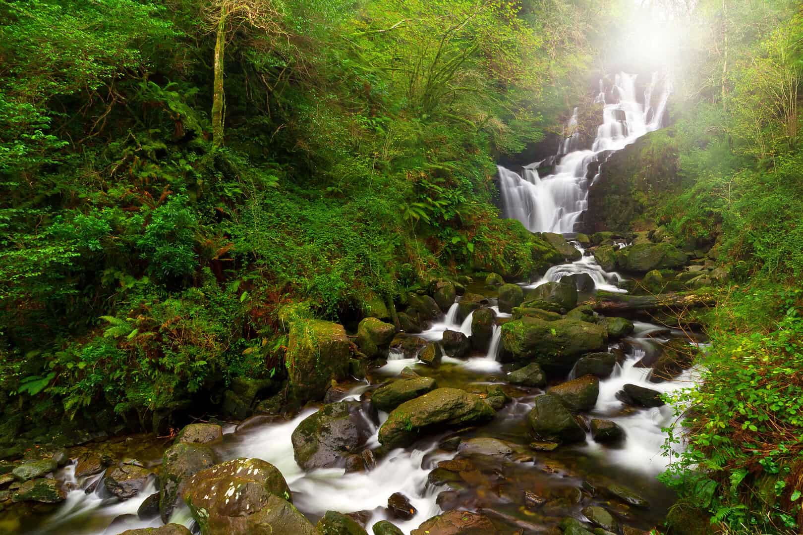 Viaggio in Irlanda. Esplorando il parco nazionale di Killarney e le sue meraviglie