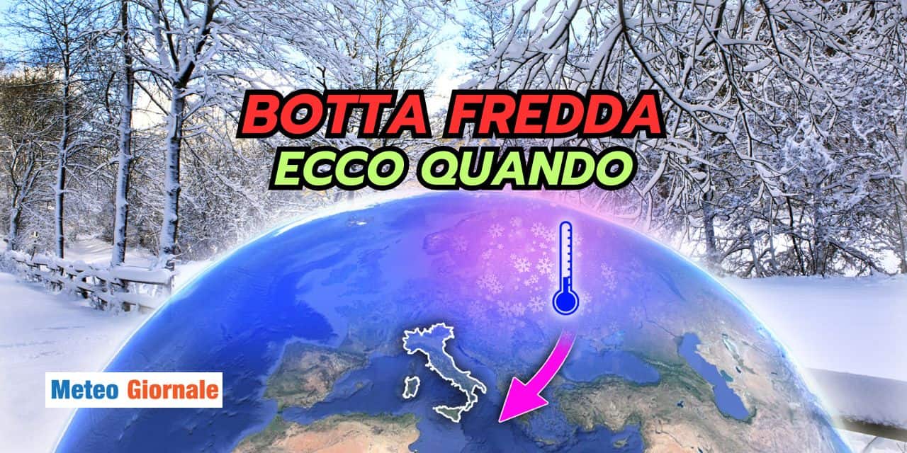 botta 0401