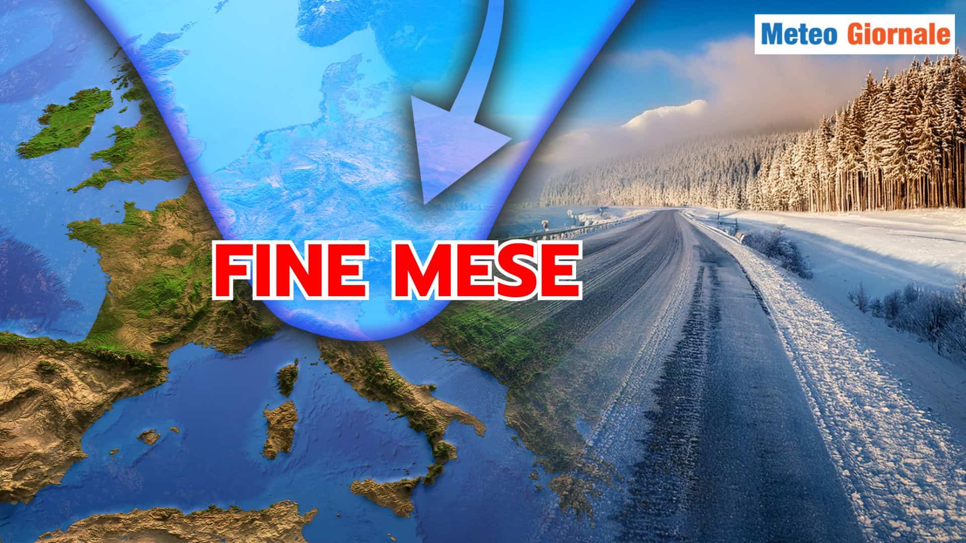 fine mese 17 asahy