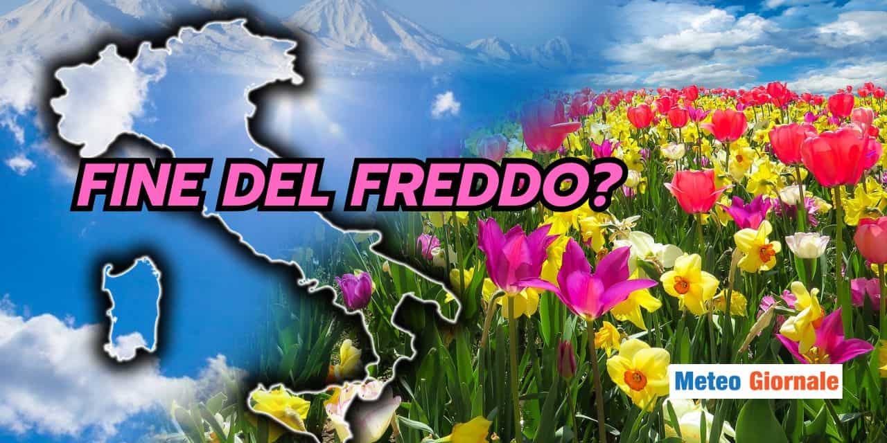 finedelfreddo 1302