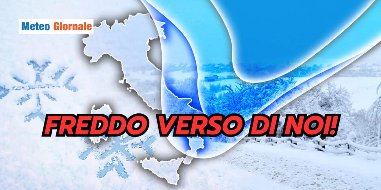 freddo 2602