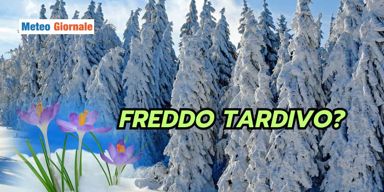 freddotardivo 0301