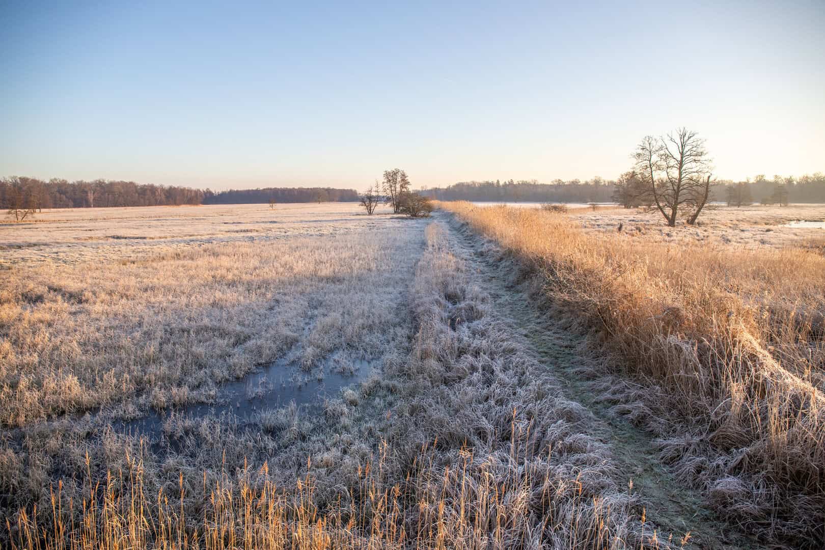 frost in Hesse 19022025