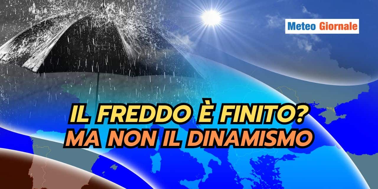 ilfreddoe 1302