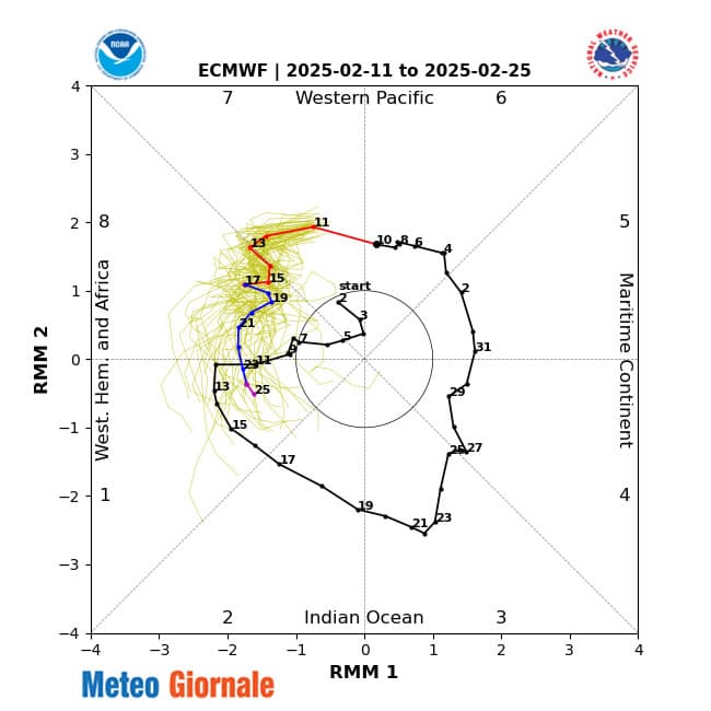 mjo