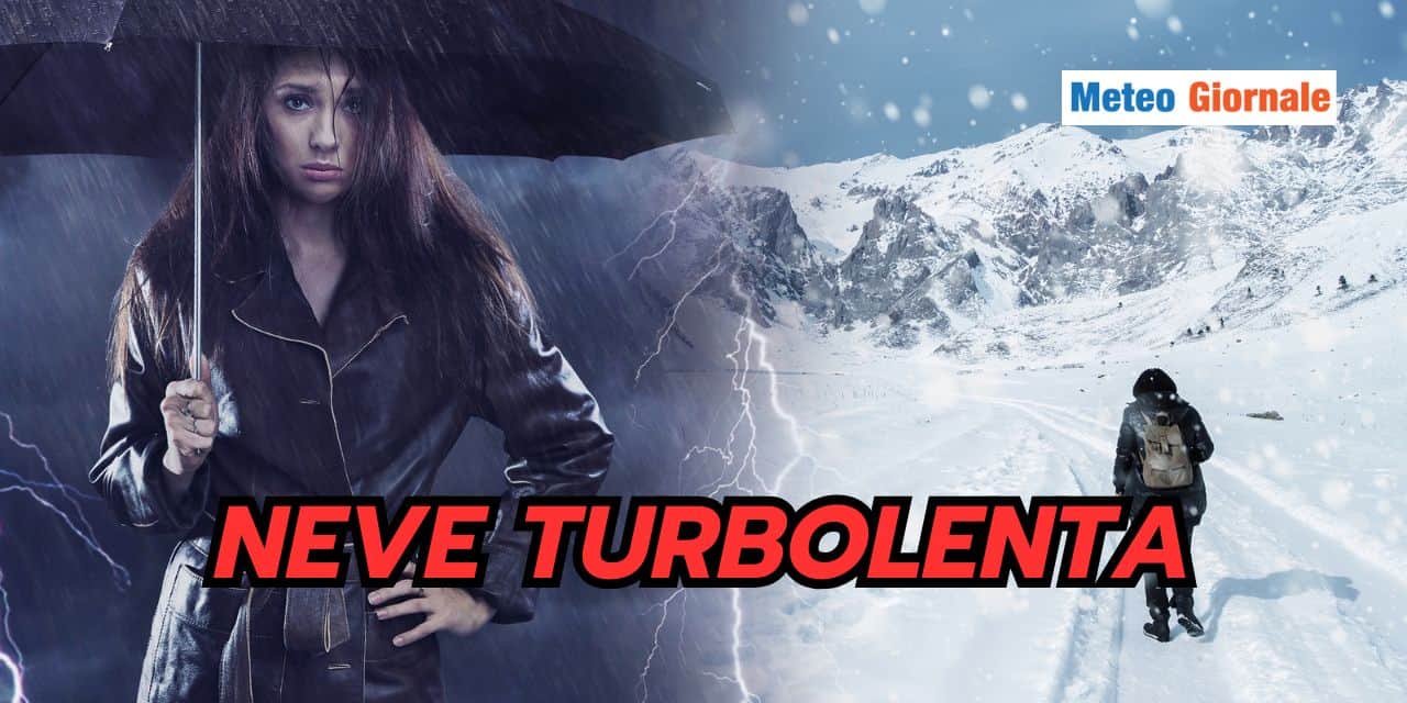 neveturbol 2502