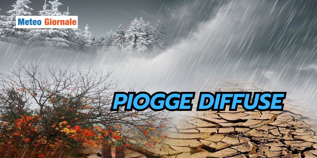 piogge 0102