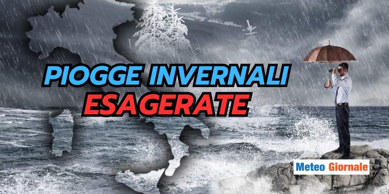 piogge 3101