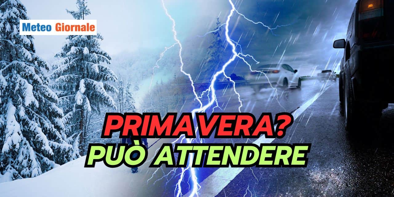 primavera 2502