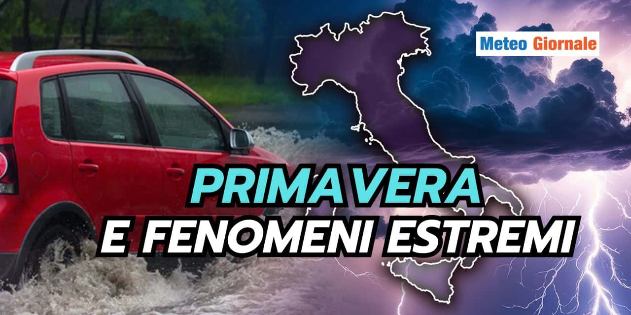 primavera 2802