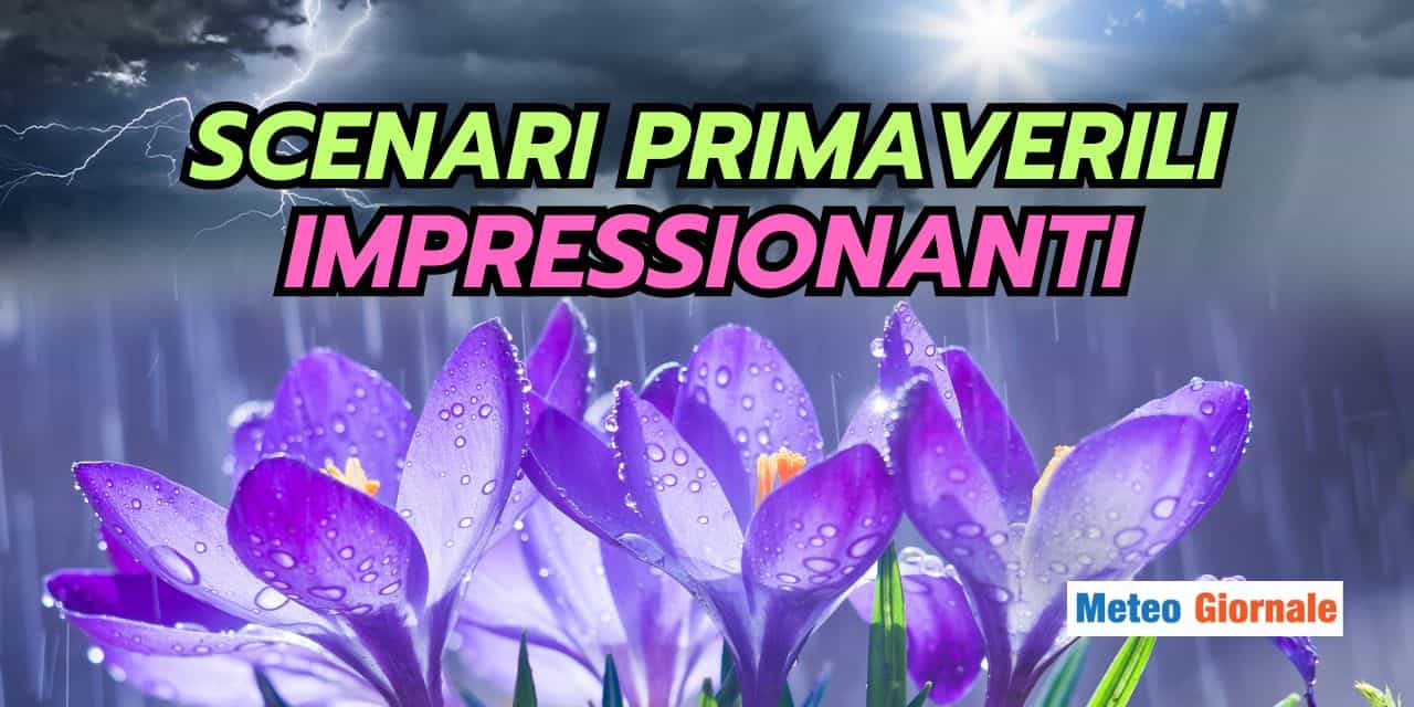scenari 3101