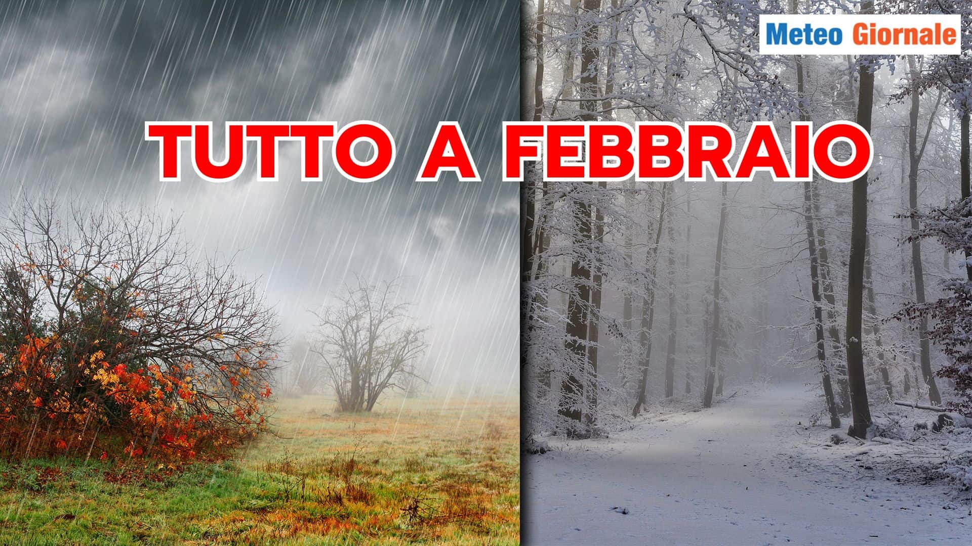 tutto febbraio 01 nmff