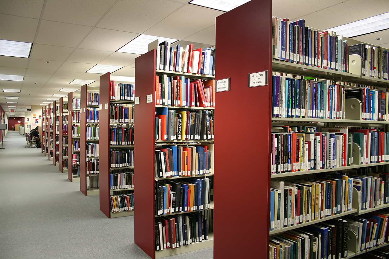 Leggere troppo può essere pericoloso: i rischi nascosti dei libri