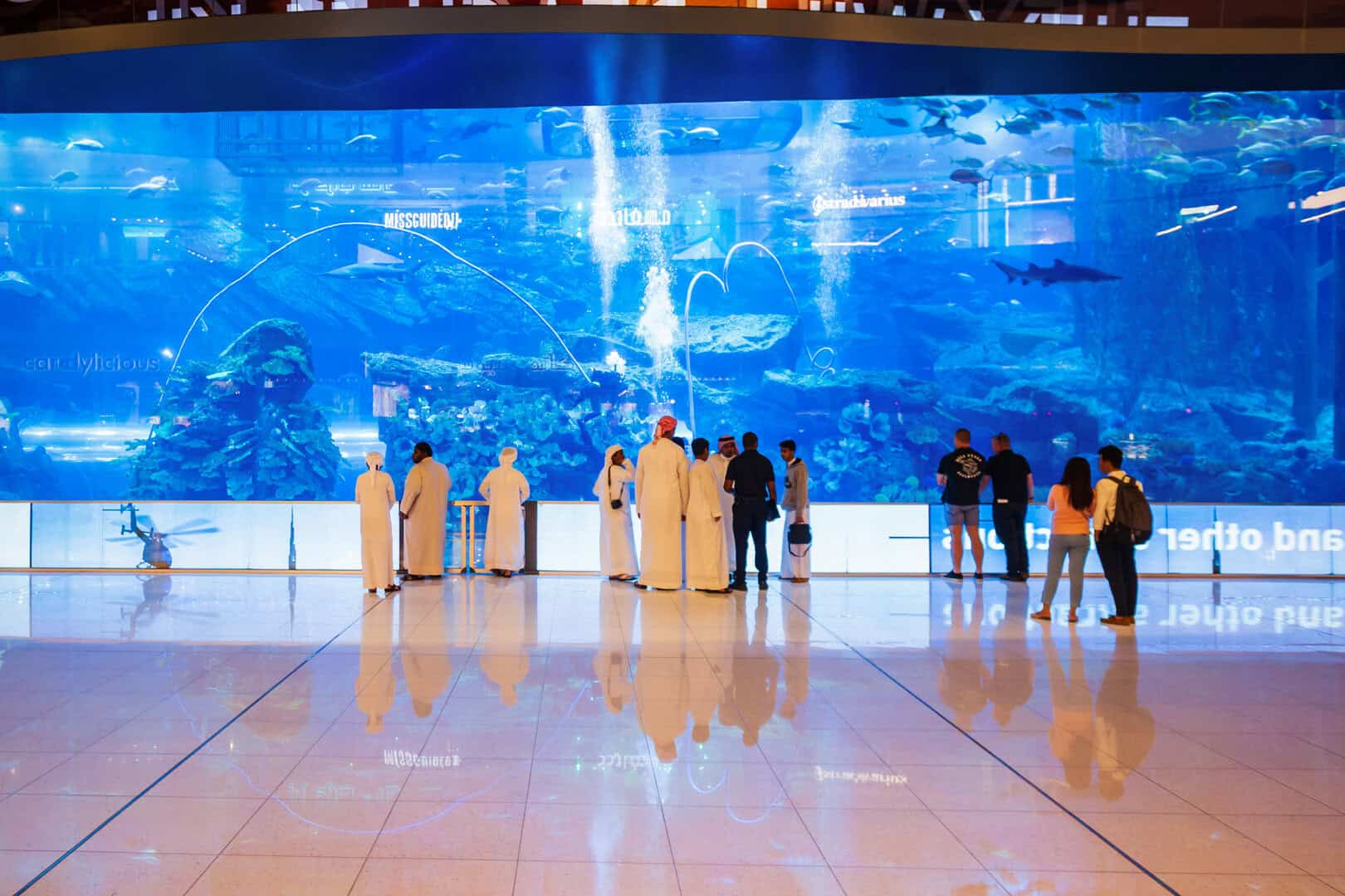 Viaggio a Dubai. Scopri l’Aquarium & Underwater Zoo, un’avventura mozzafiato