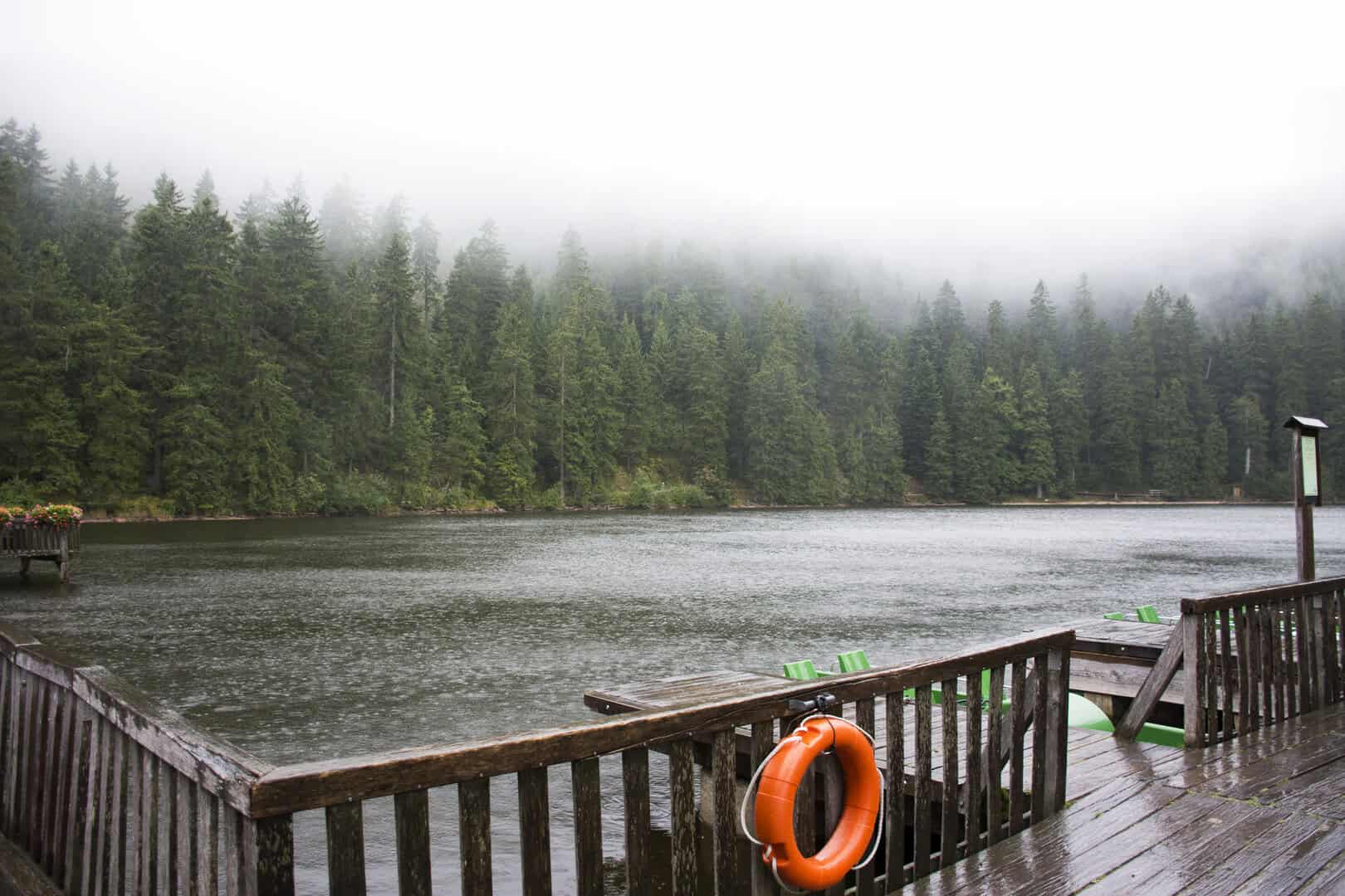Meteo Germania, Baden-Württemberg oggi: temperature record, piogge estreme e meno gelo