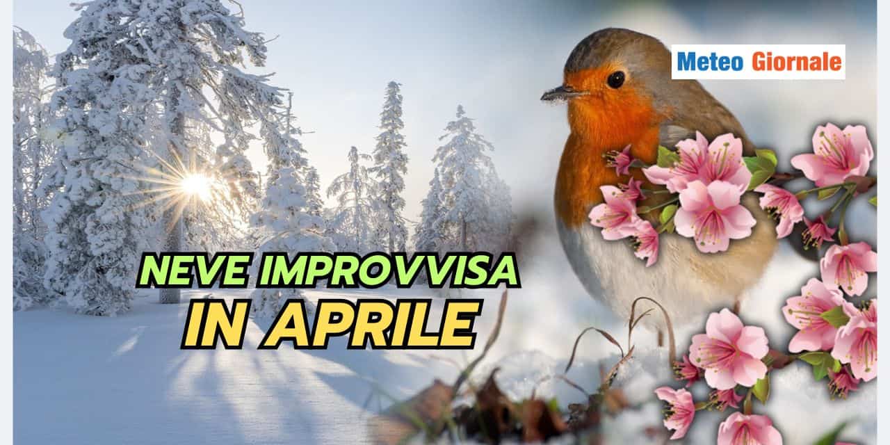 Copia di BOMBE DI GRANDINE 2025 03 29T111617.218