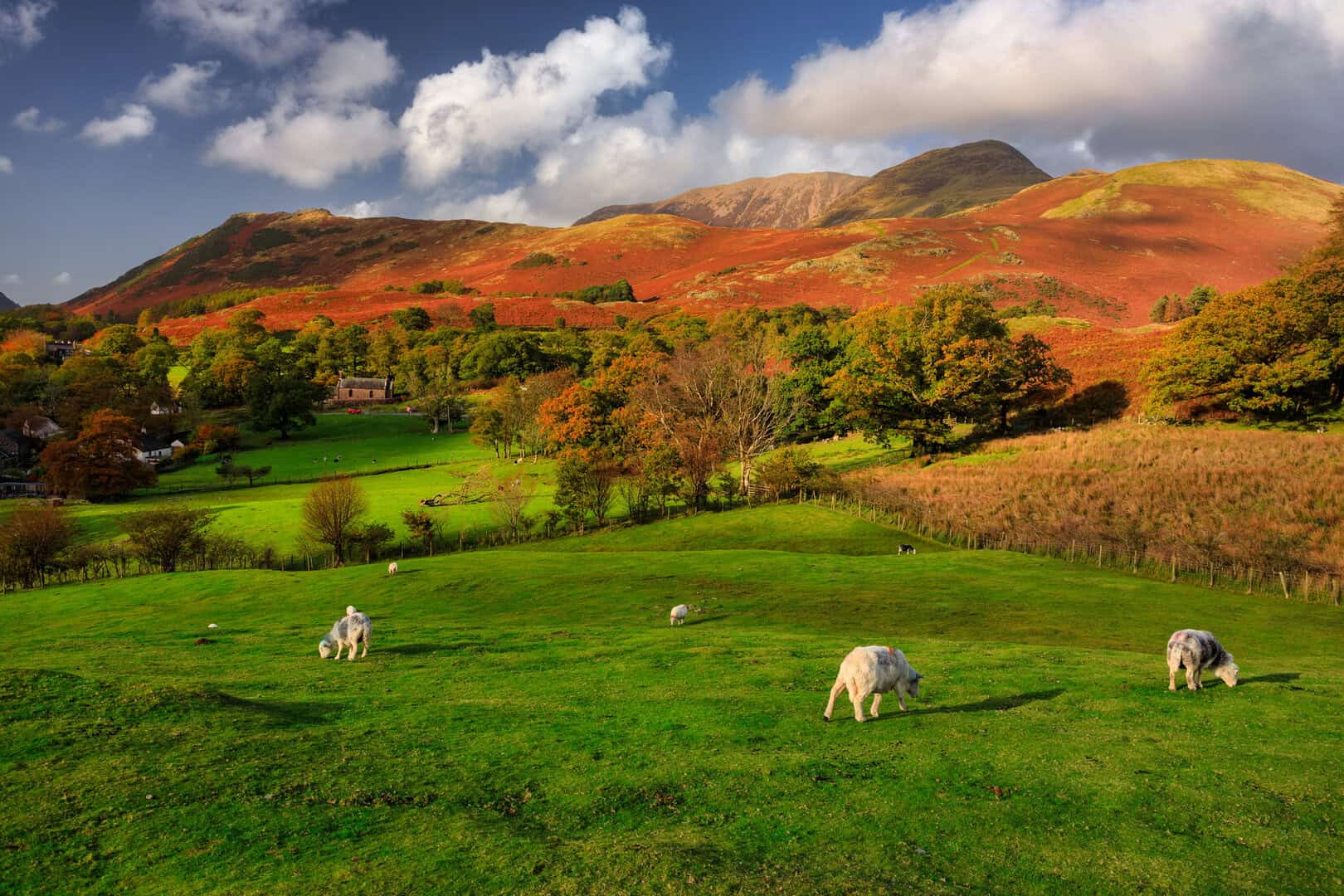 Viaggio nel Lake District. Un’incantevole esplorazione tra laghi e montagne