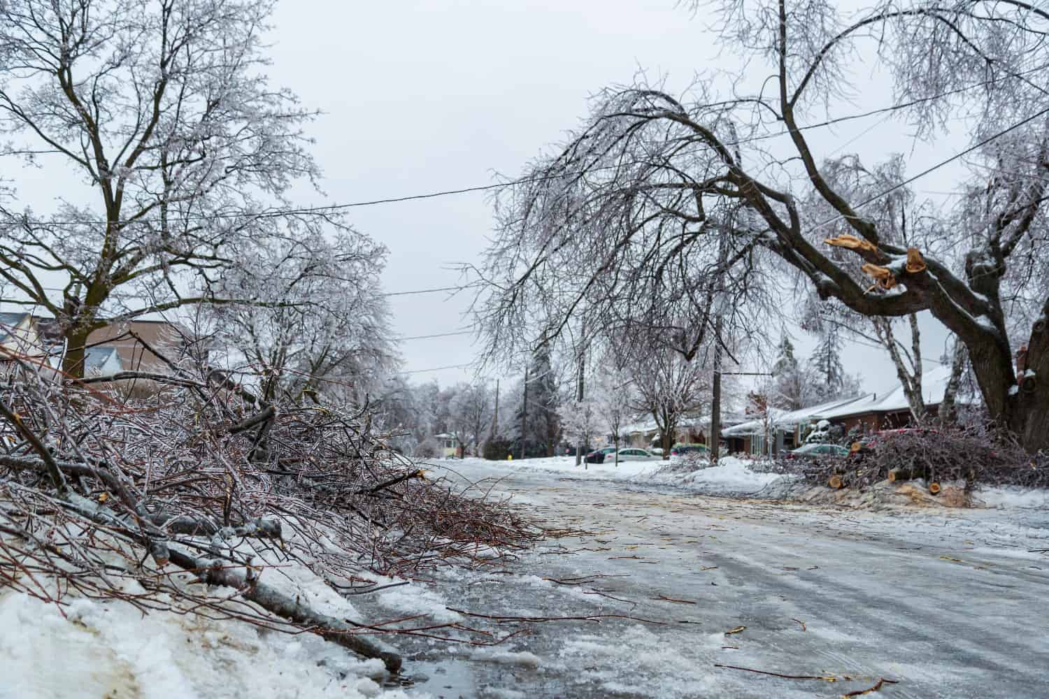 Meteo Canada 7 marzo: nevicate fino a 10 cm in alcune zone dell’Ontario meridionale