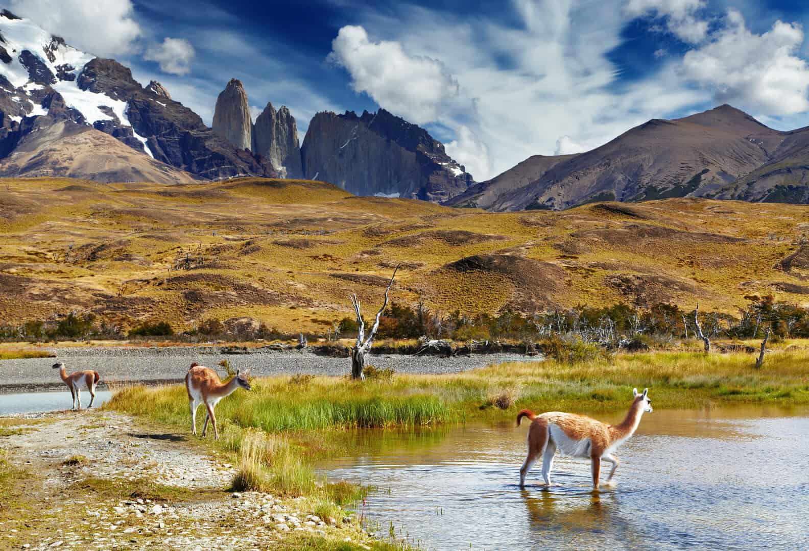 Torres del Paine: il cuore selvaggio della Patagonia cilena