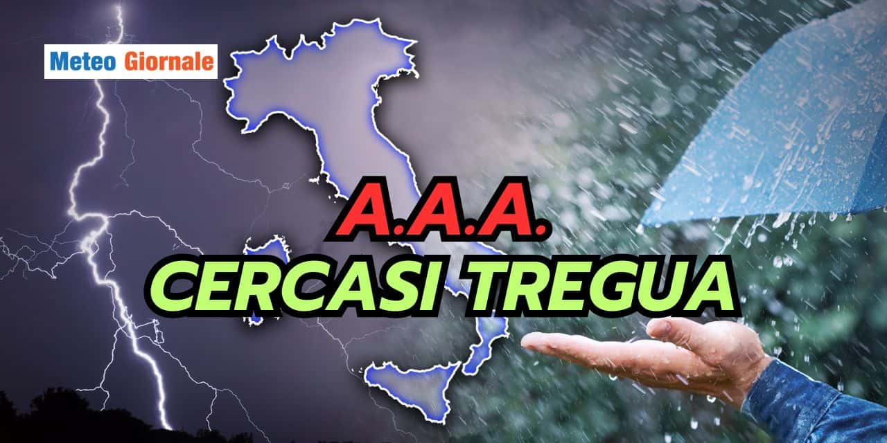 aaa 2203