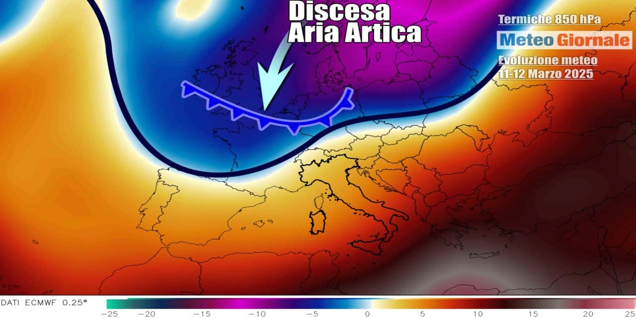 Colpo di coda invernale