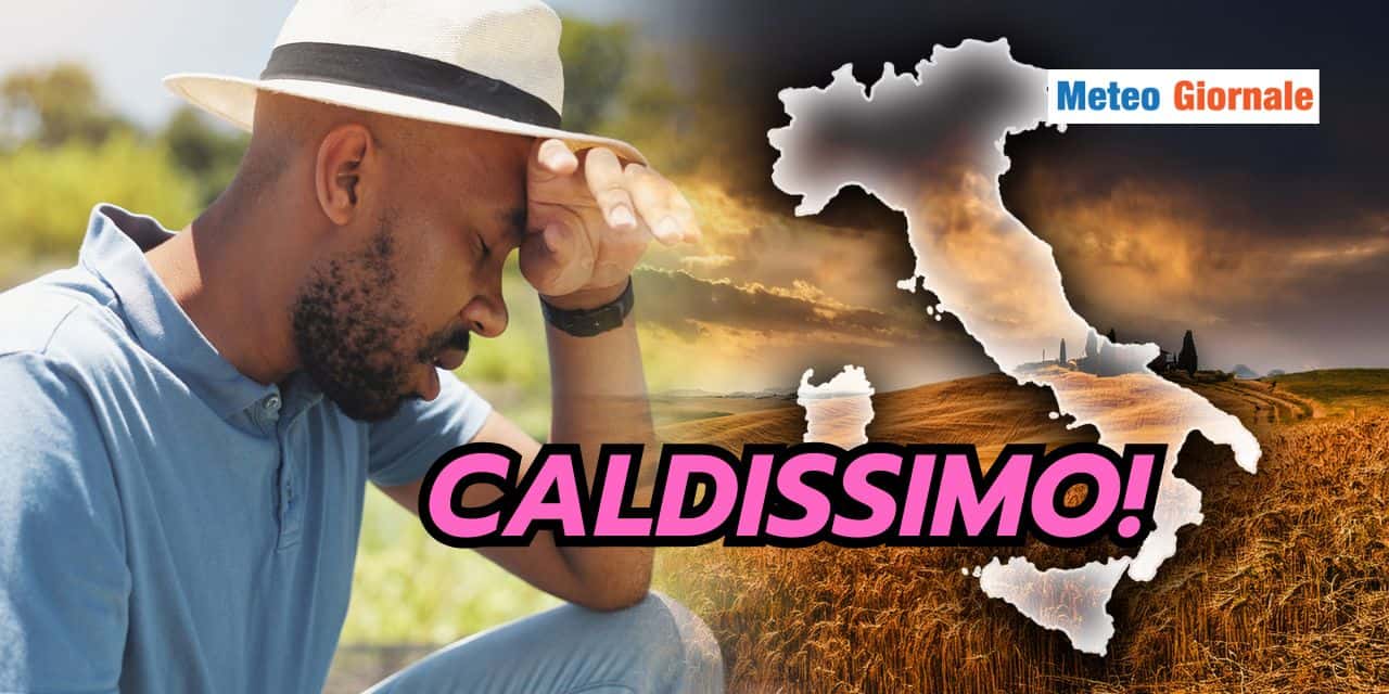 caldissimo 2403