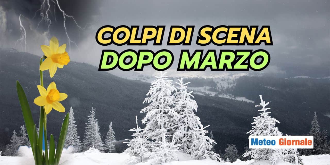 colpi 0903