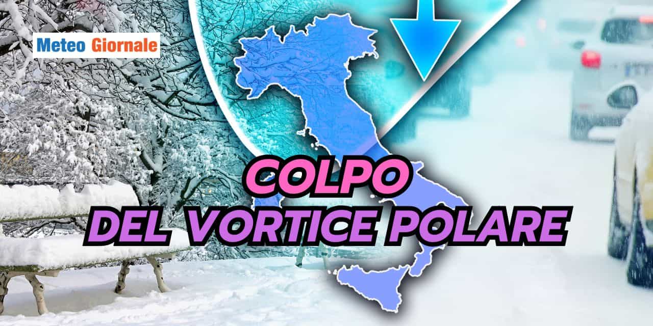 colpo 0503