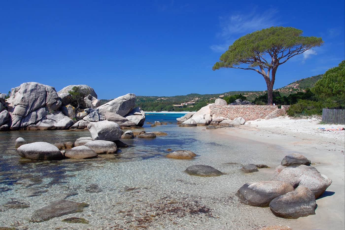 Viaggio in Corsica. Esplorazioni subacquee nelle acque cristalline dell’isola
