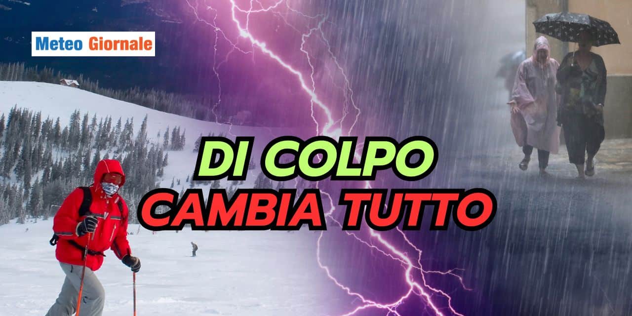 dicolpo 3103