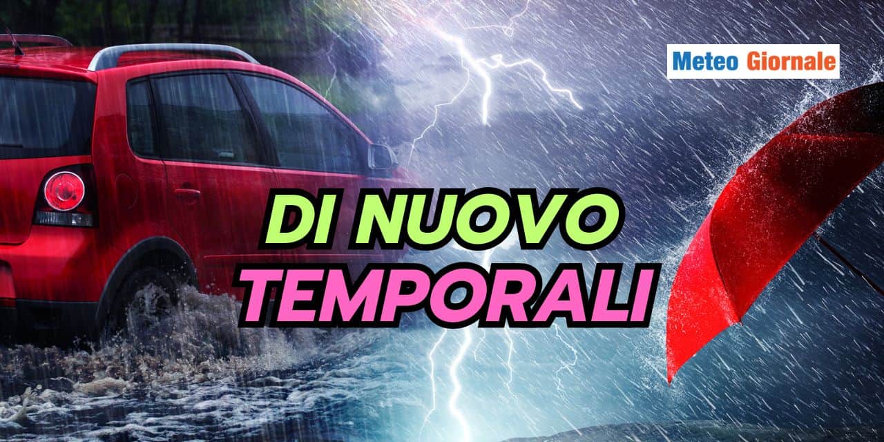 dinuovo 1803